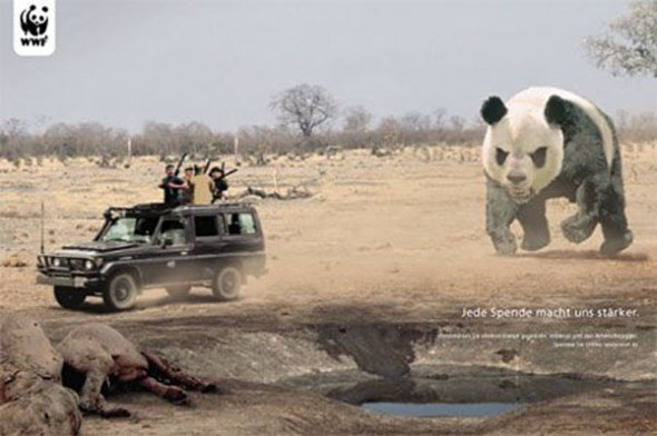 Фото дизайнера креативной рекламы. Панда против браконьерства
