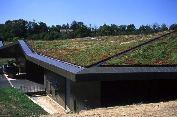 Зеленые крыши 