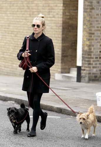 Сиенна Миллер выгуливает своих собак