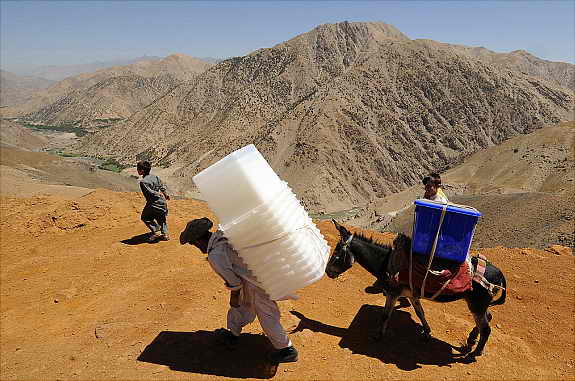 Мулы и ослы перевозят на себе избирательные урны, бюллетени, столы и стулья по долине Панджир в Афганистане