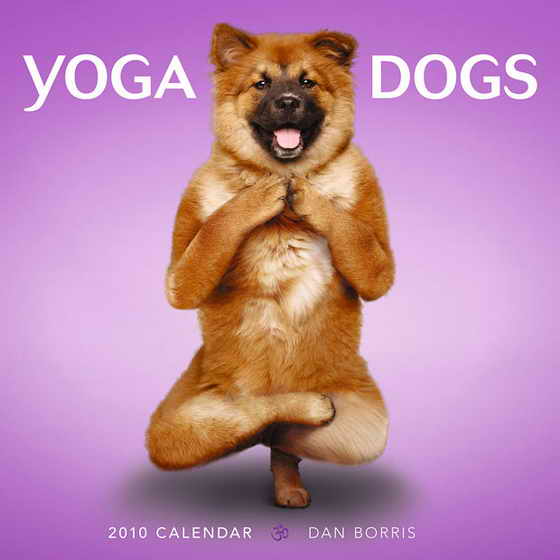 Обложка календаря "Собачья йога"