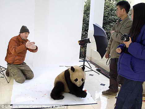 Команда фотографа Eric Isselee в процессе съемок для фотосессии панды