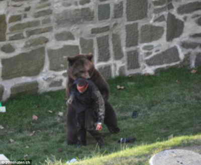 Нападение: Медведь смыкает челюсти на раненном мужчине в Швейцарском зоопарке