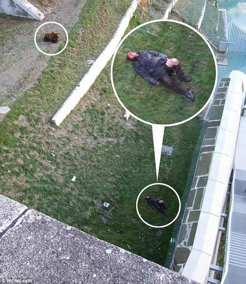 4-летний медведь разодрал одежду на своей жертве. Мужчина весь в крови и лежит в бессознательном состоянии в вольере медведя