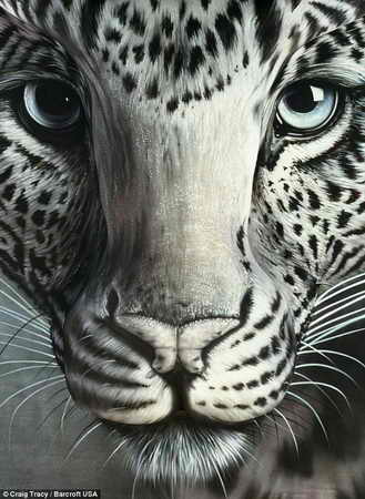 Произведение боди арта под названием "Бабочка": трейси нарисовал глаза леопарда на полу, в то время как спина модели вырисовывает остальные детали морды леопарда. Бабочка получилась из носа животного