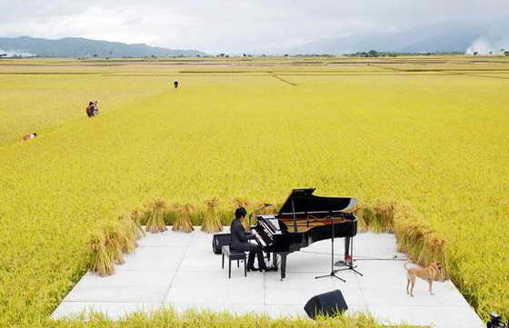 Тайваньский пианист Чэнь Гуань-юй (Chen Kuan-yu) исполнил концерт в центре рисового поля в Chishang Township, тайваньском округе Тайдун