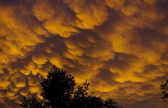 Выпуклые и многослойные облака ассоциируются с сильными бурями, торнадо, чаще всего видны на небе в теплые, летние месяцы