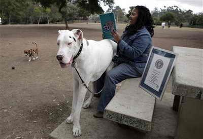 Самая большая в мире собака