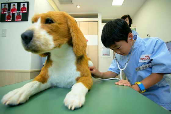 Будущий ветеринар осматривает пока ненастоящую, игрушечную собаку