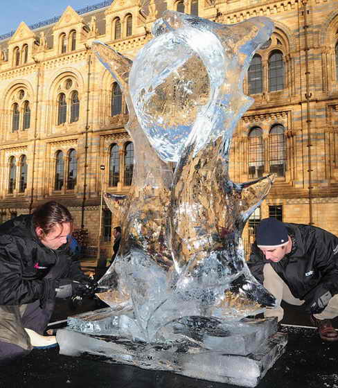 Удивительная красота: Двое французских скульпторов завершают свою дизайнерскую работы - скульптуру, которая состоит из двух акул, которые держат мешок денег, олицетворяющий город