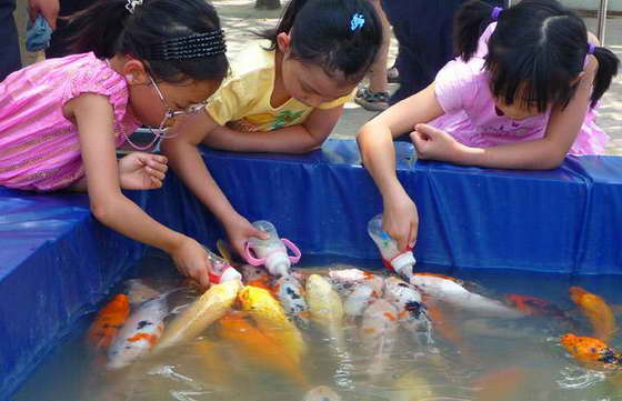 дети кормят рыб