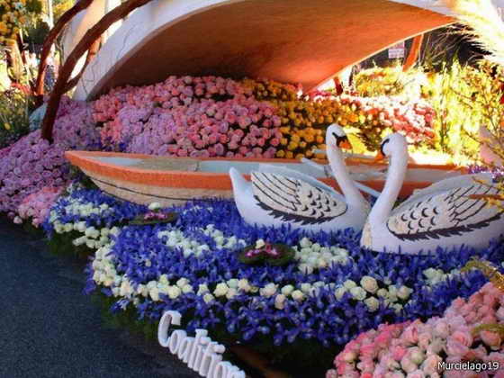 Фестиваль цветов Bloemencorso