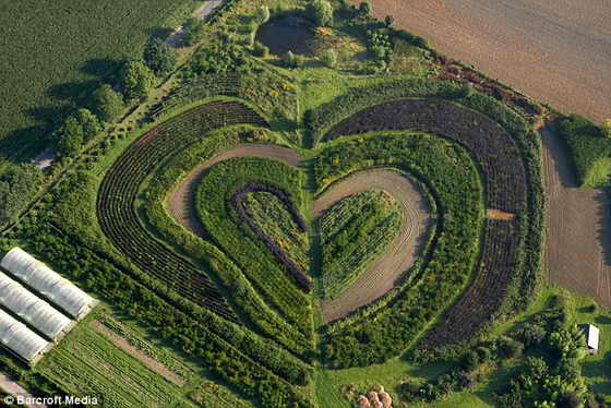 Лужайка любви: Сад в городе Вальтроп, около Дортмунд, Германия
