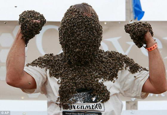 Шокирующее соревнование Лучшая борода из пчел фото