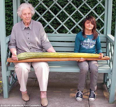 Самый длинный огурец в мире