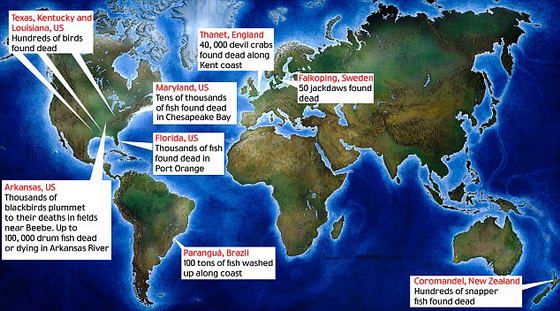 Места гибели животных на карте мира