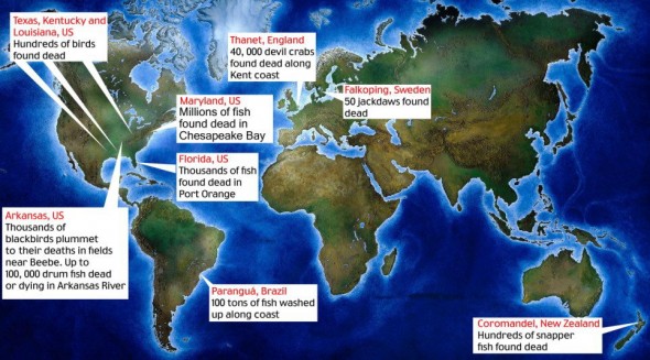 Карта смерти животных по миру