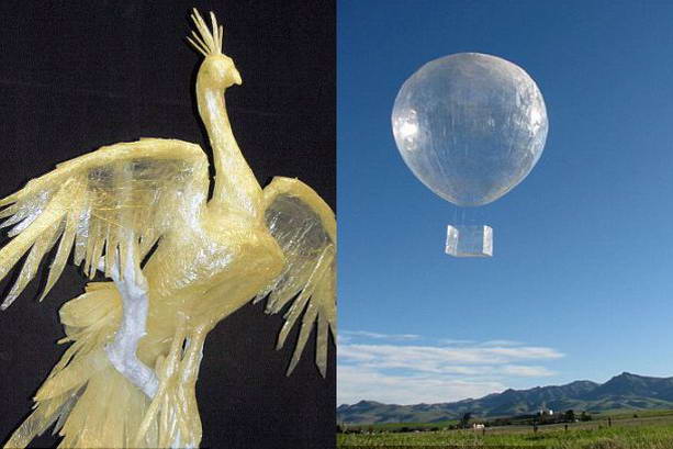 павлин и воздушный шар