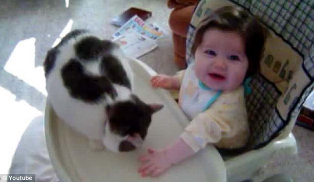 игривая кошка и малыш
