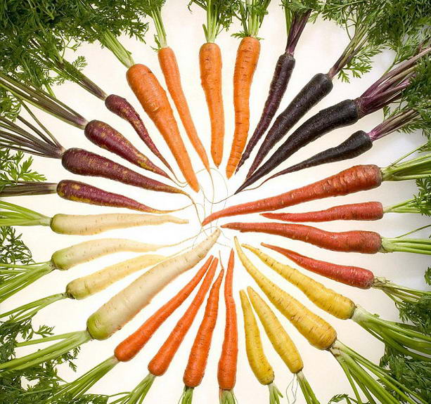 разноцветная морковь