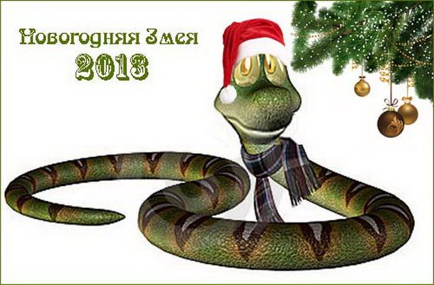 с Новым 2013 годом змеи