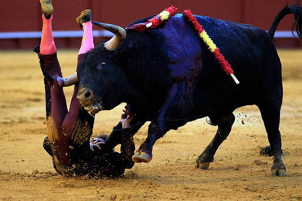 Тореадор Гарсиа раненый быком