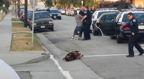 Полицейский расстрелял собаку