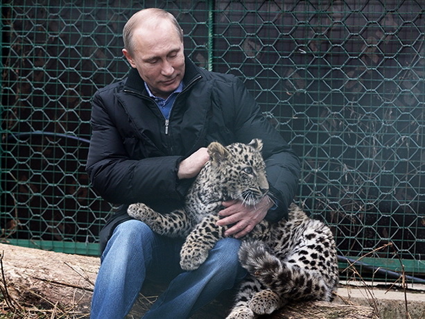 Путин леопард