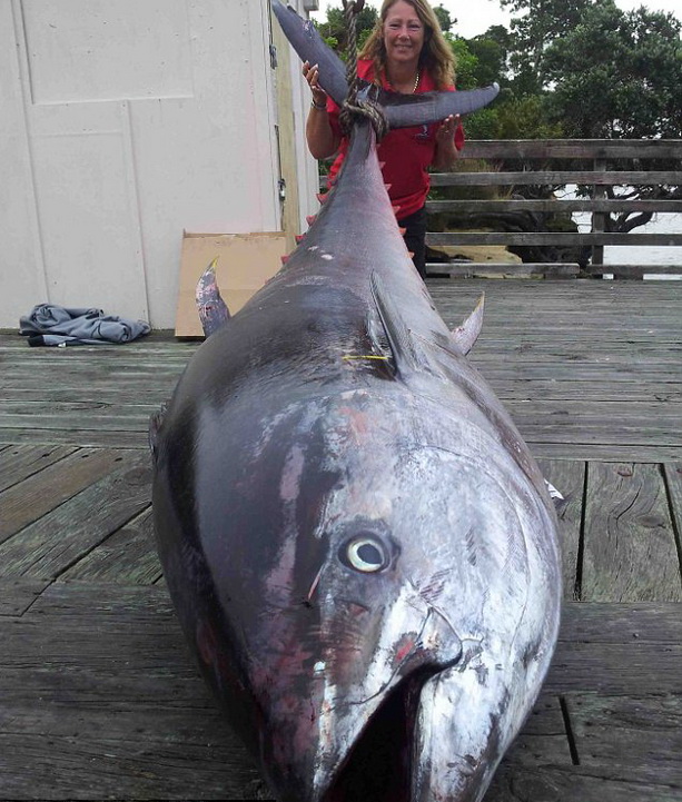 Самый большой тунец (Книга рекордов Гиннеса) и Донна Паско поймавшая его