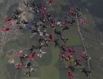В небе Украины 57 парашютисток из 19 стран установили мировой рекорд